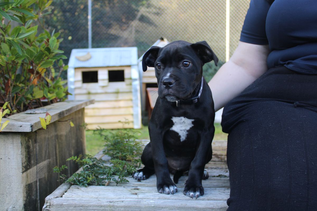 Gallery image: Kransky