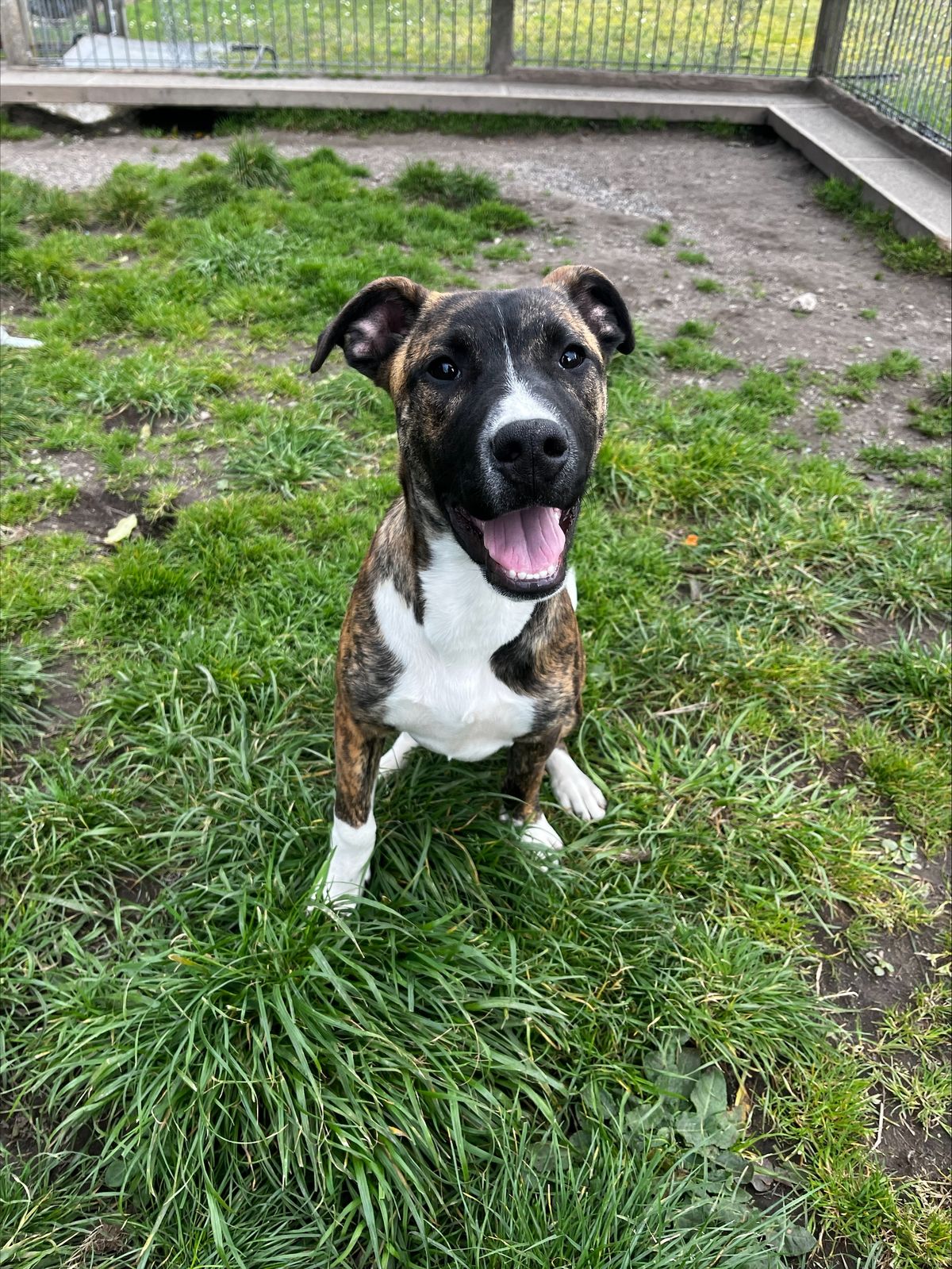 Gallery image: Tim Tam