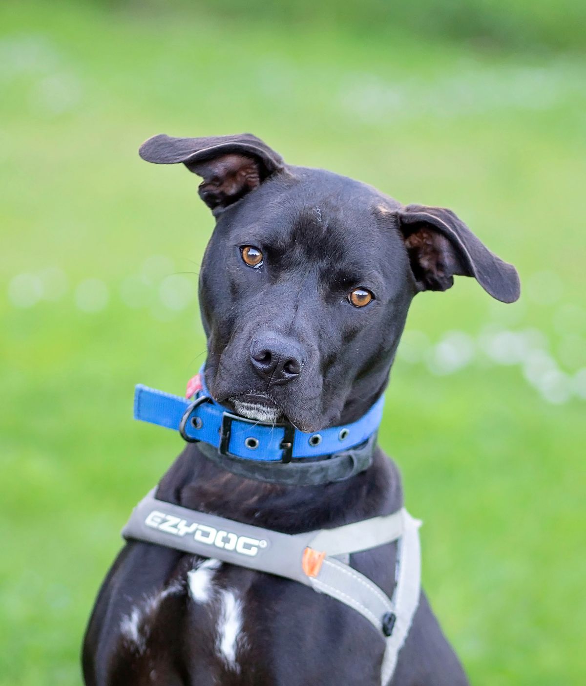 Gallery image: Barra