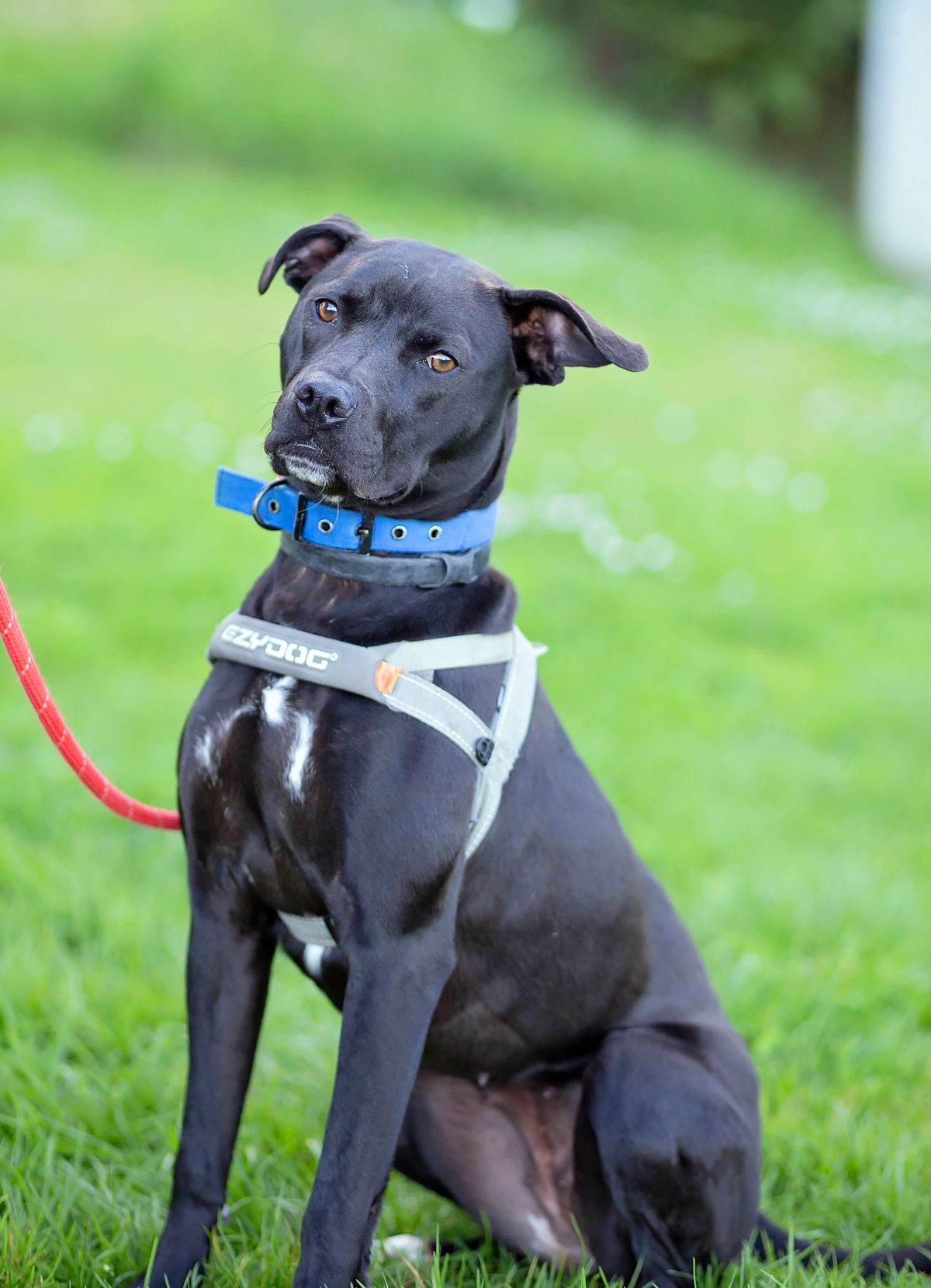 Gallery image: Barra