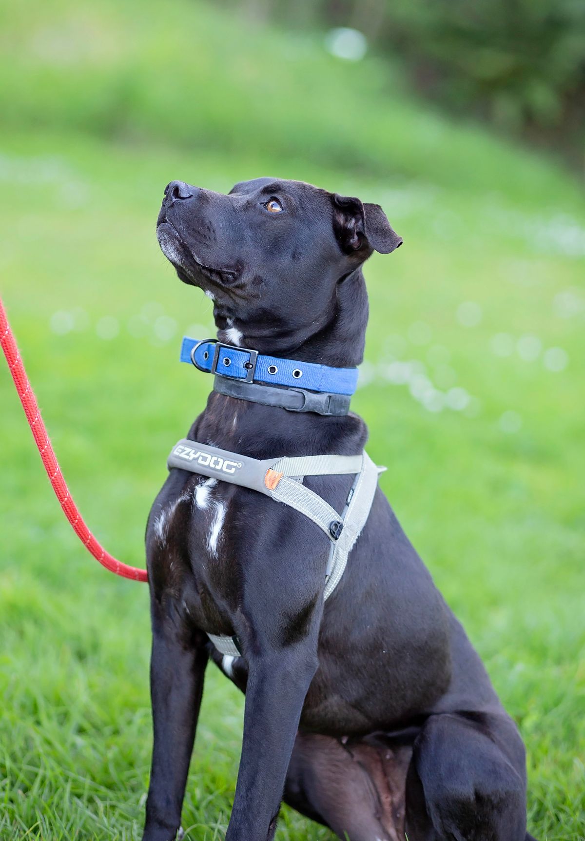 Gallery image: Barra