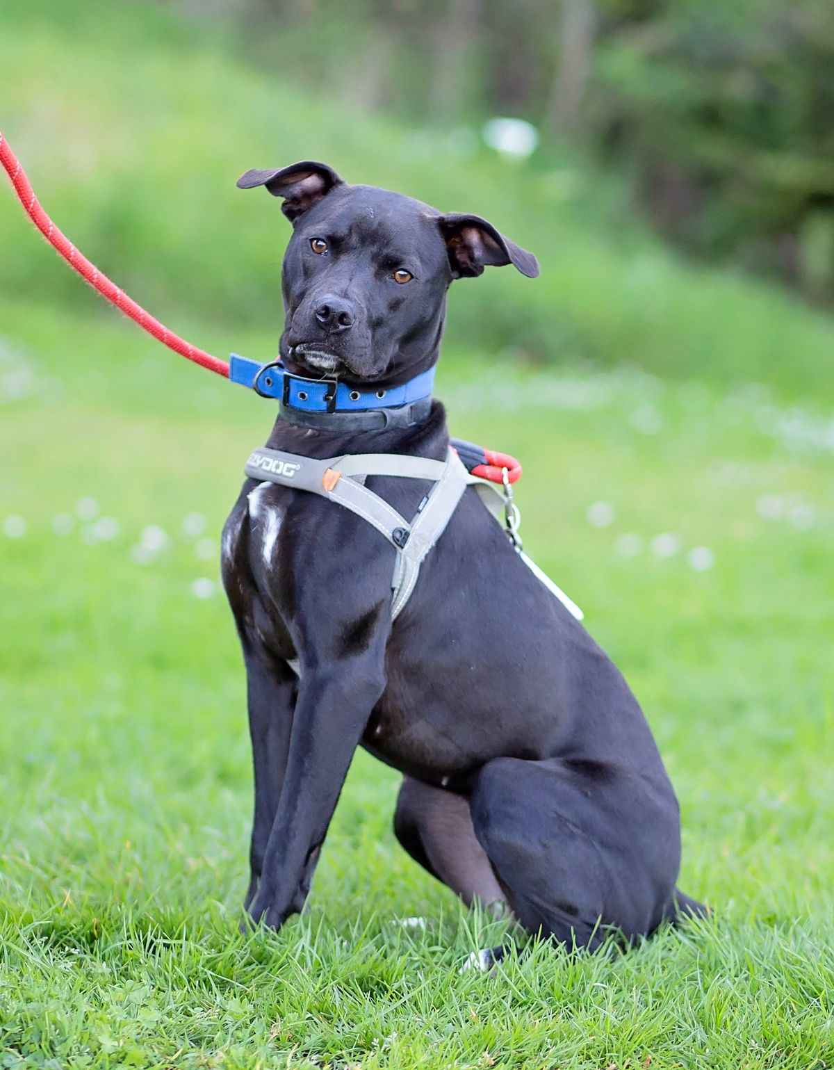 Gallery image: Barra