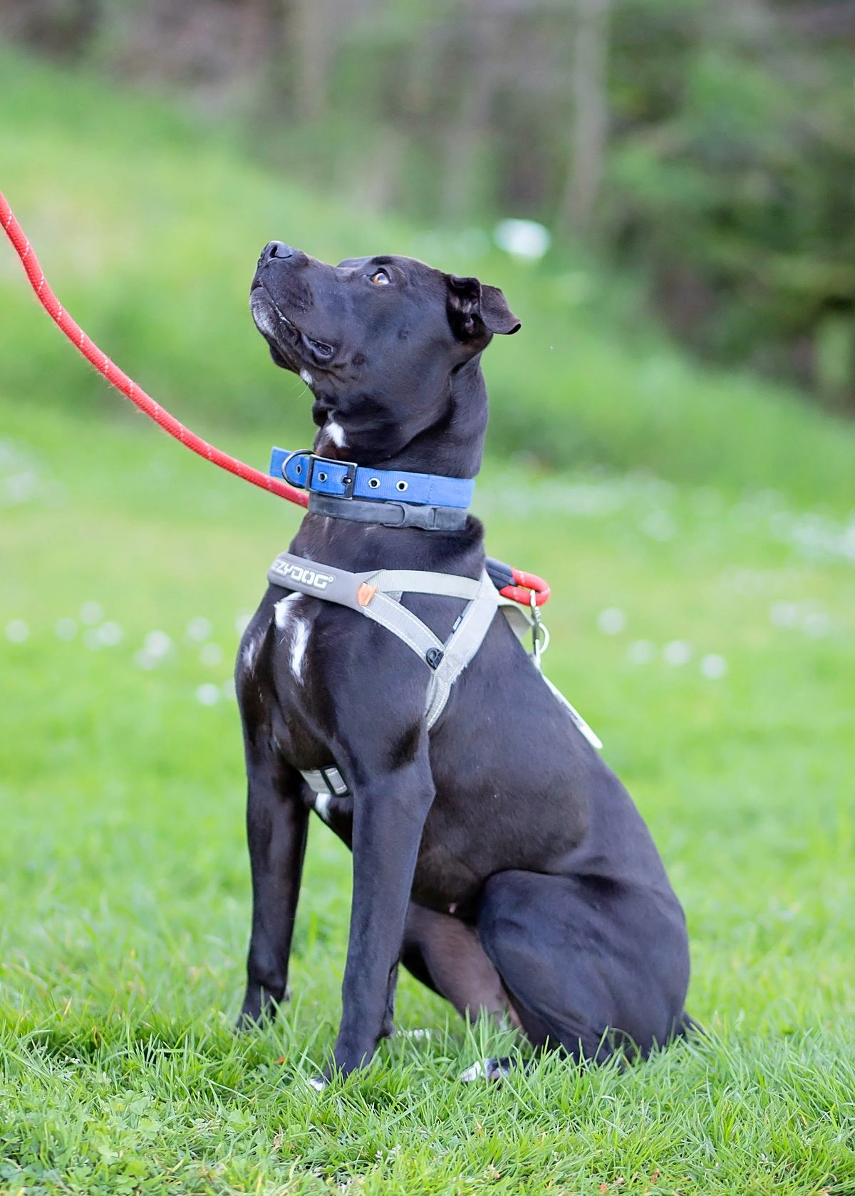 Gallery image: Barra