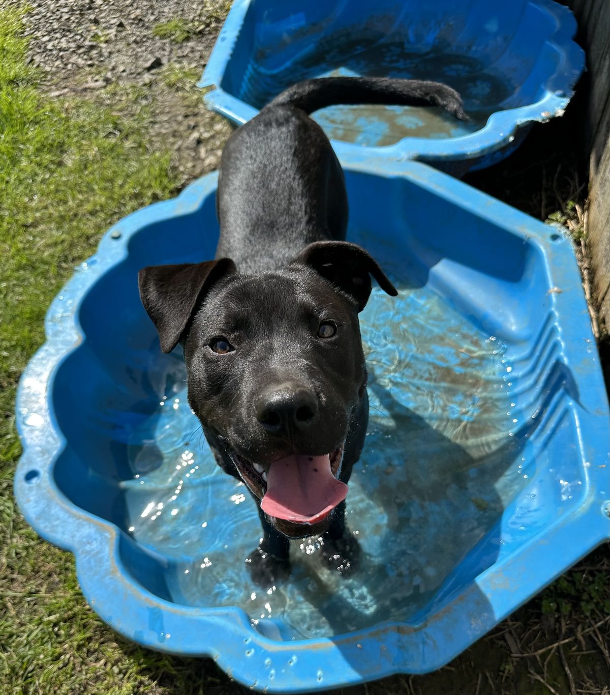 Gallery image: Carlos