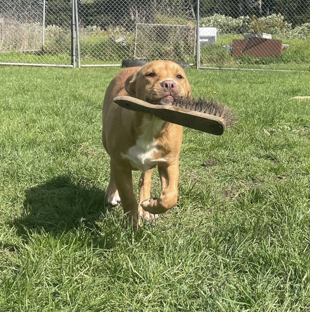 Gallery image: Jaycee