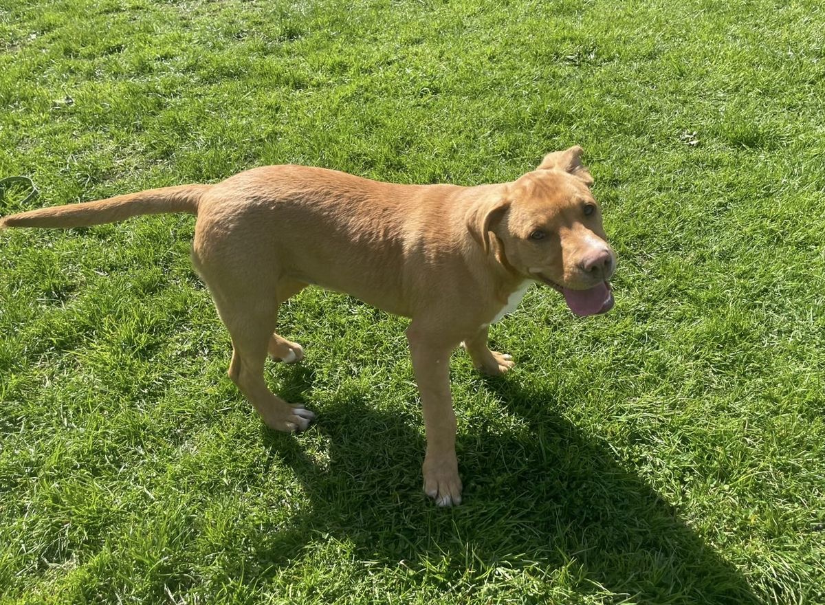 Gallery image: Jaycee