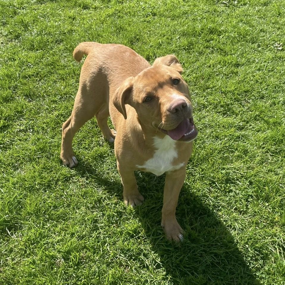 Gallery image: Jaycee