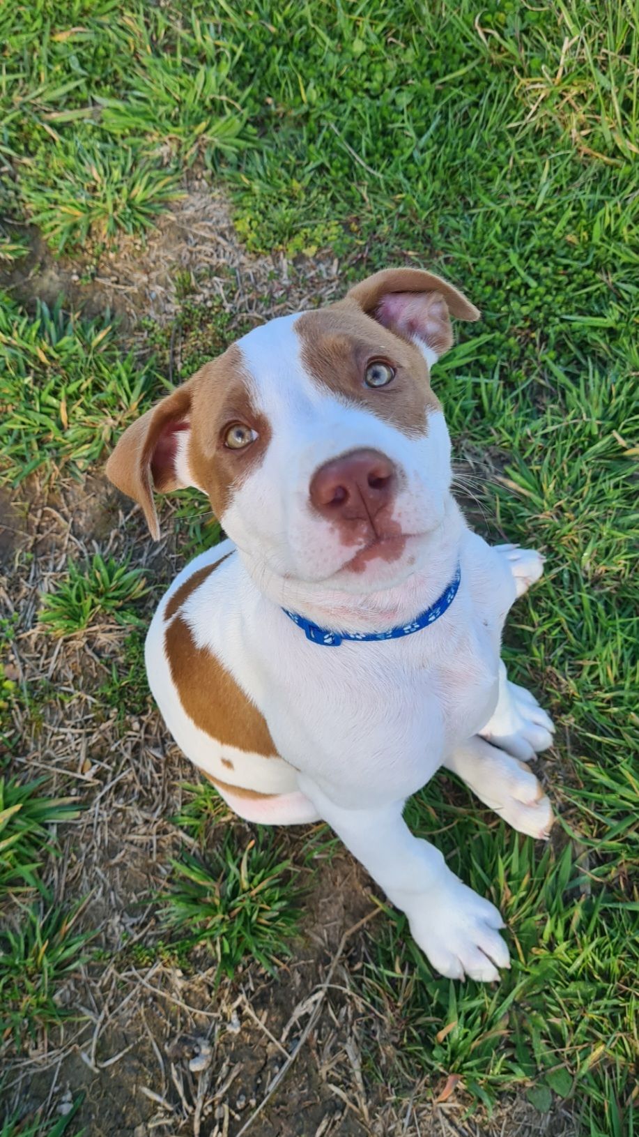 Gallery image: River