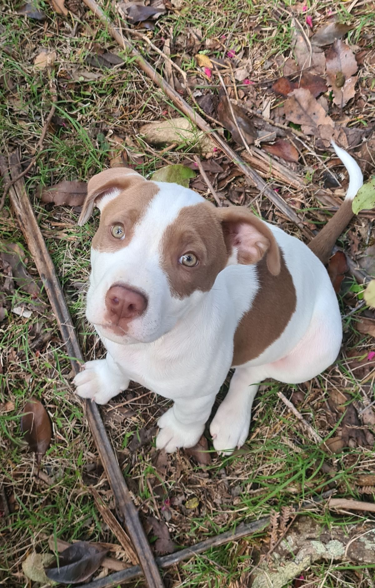 Gallery image: River