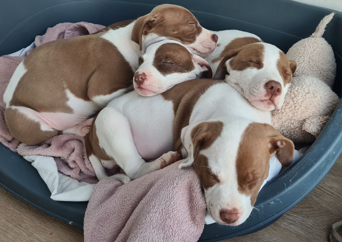 Gallery image: River