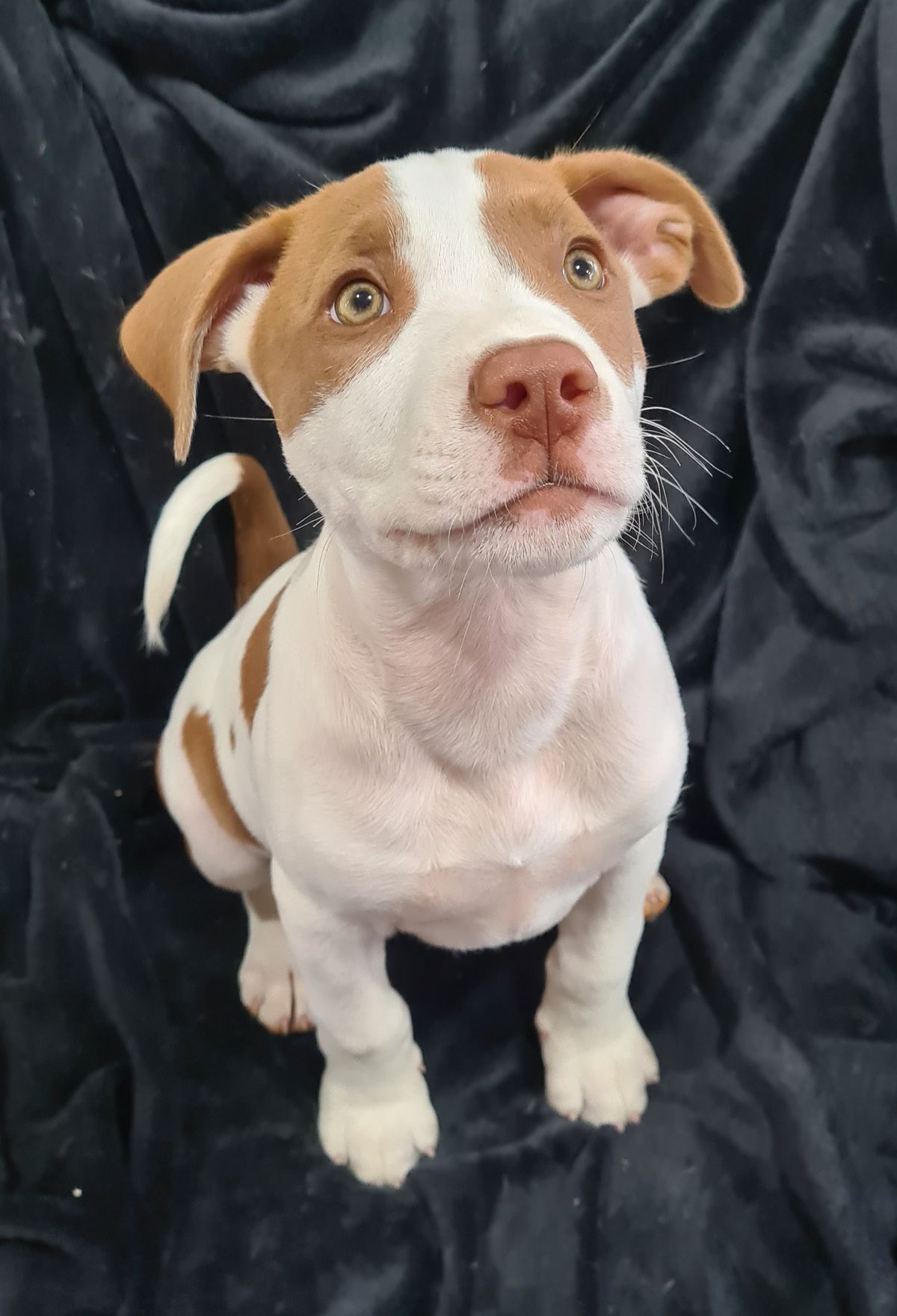 Gallery image: River