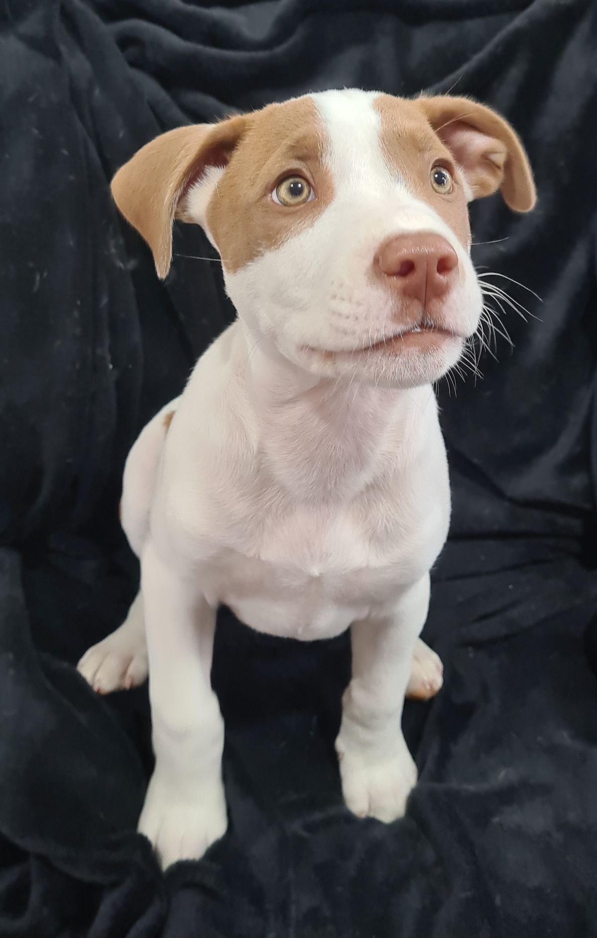 Gallery image: River