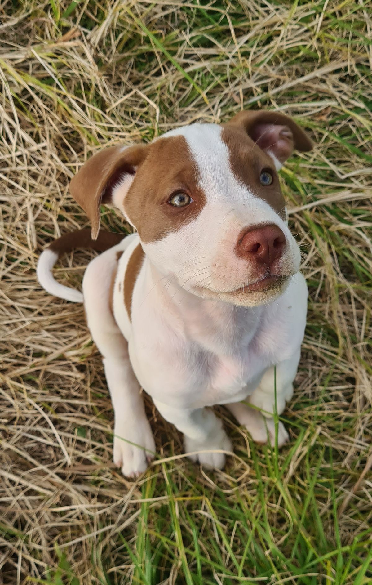 Gallery image: River