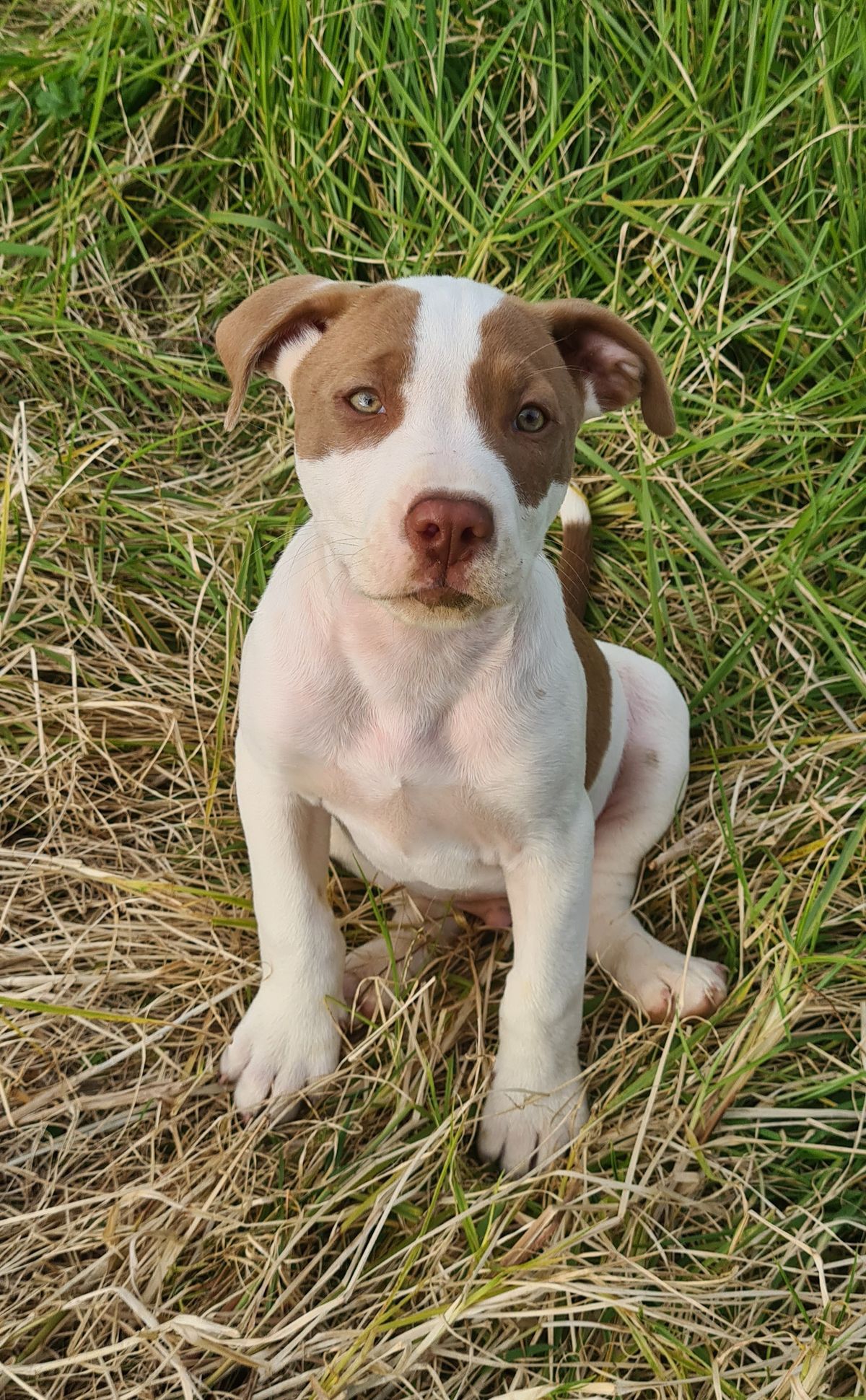 Gallery image: River