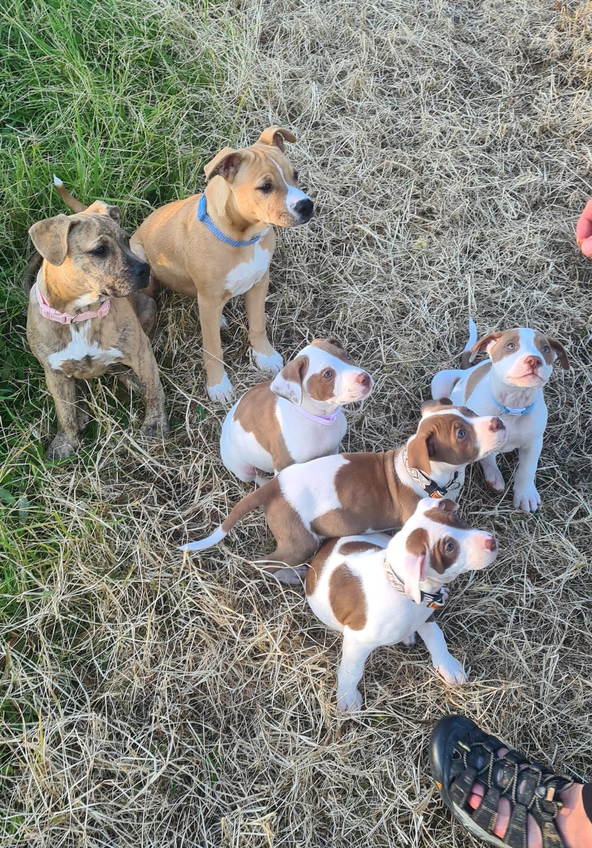 Gallery image: River