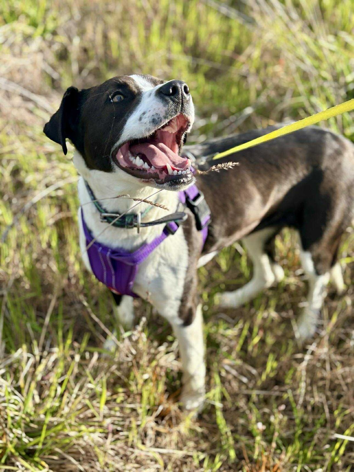 Gallery image: August