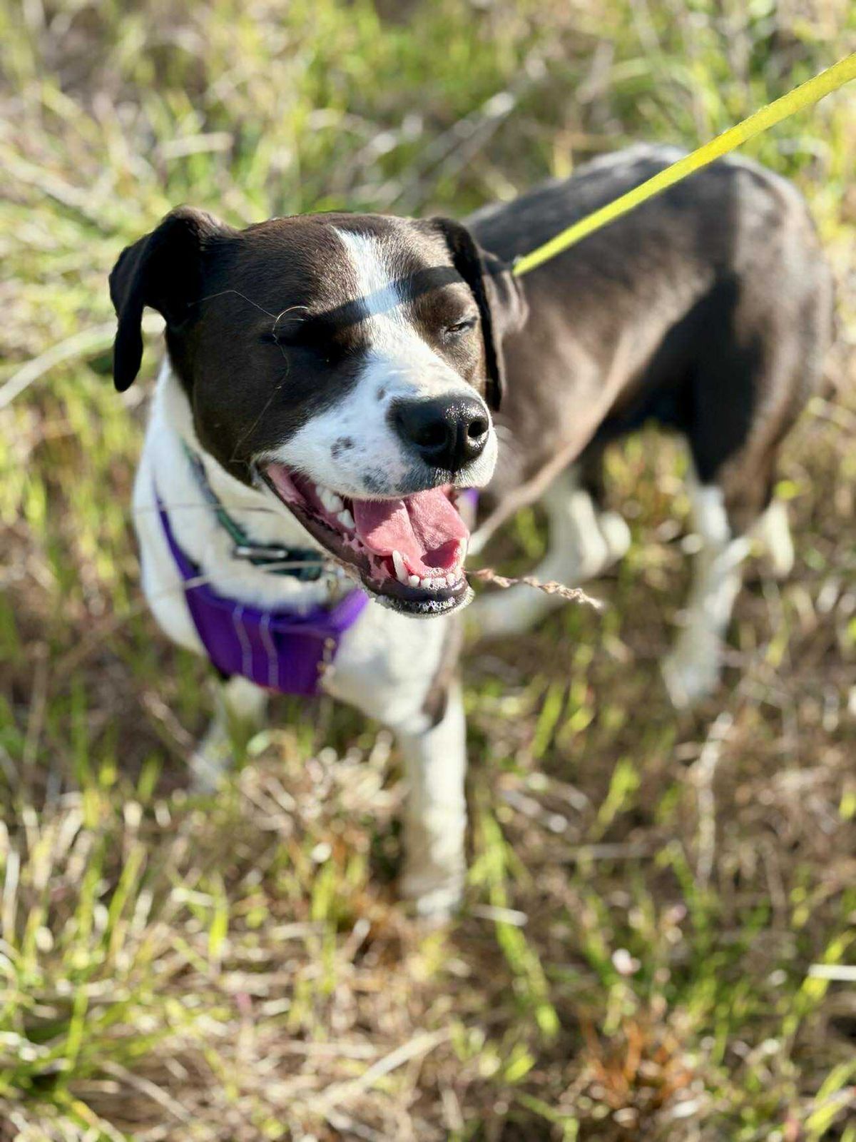 Gallery image: August