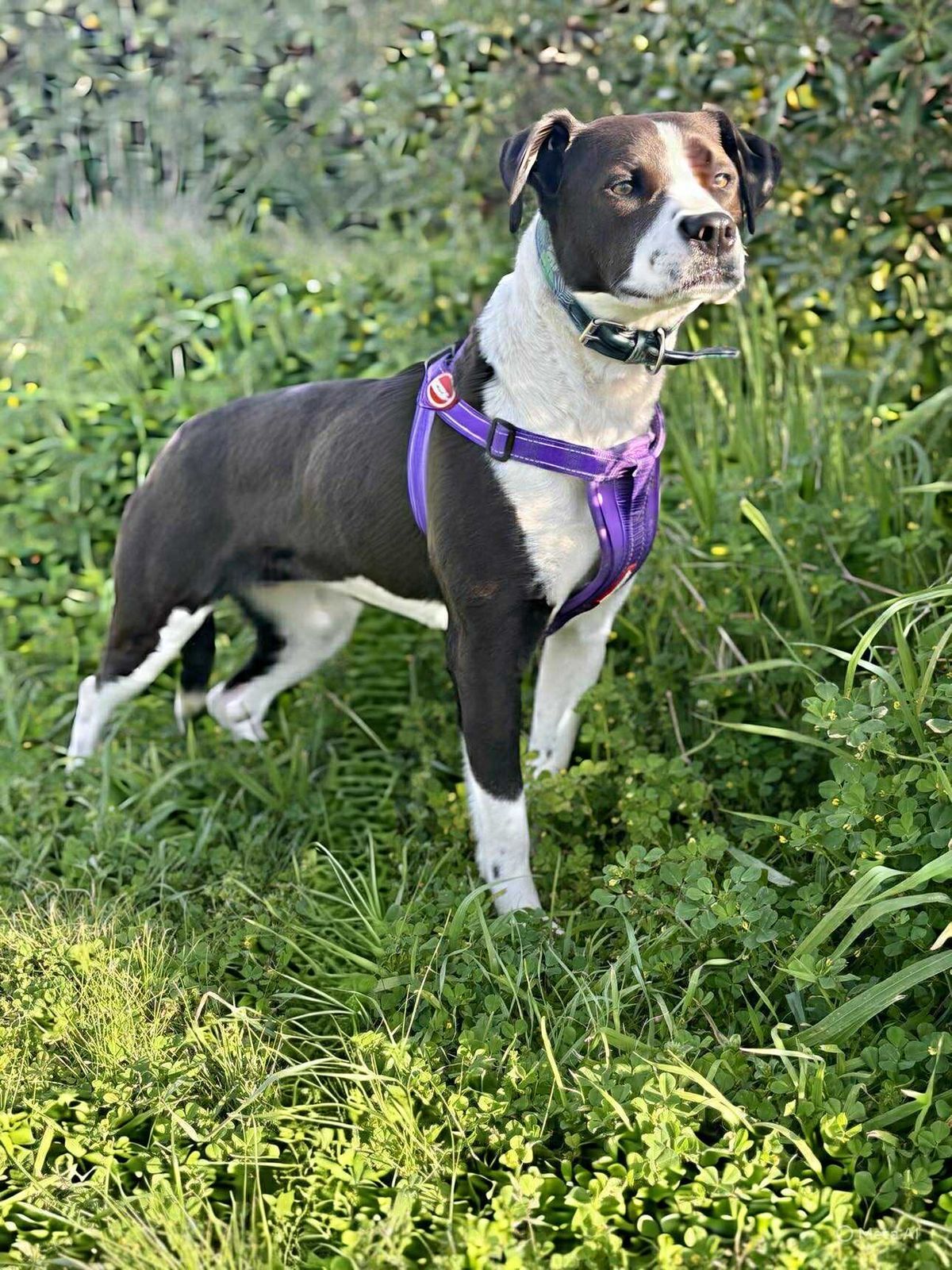 Gallery image: August