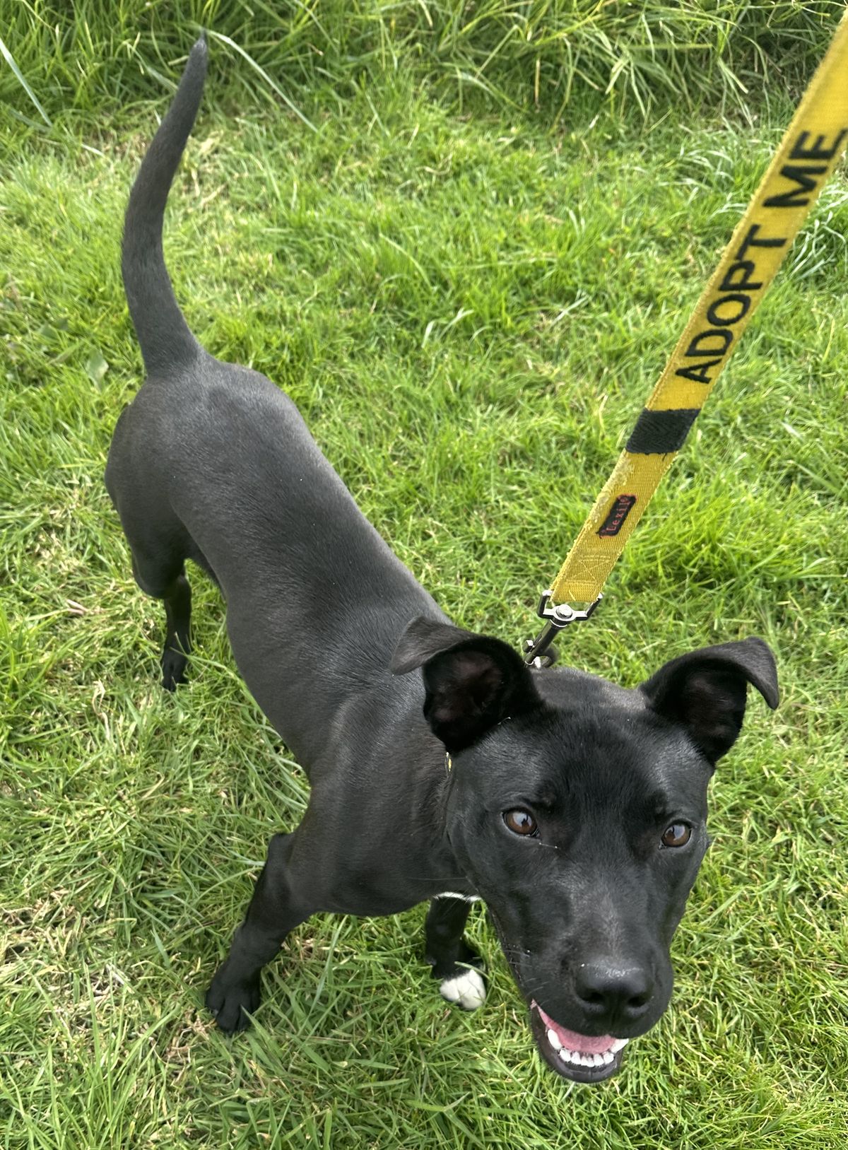 Gallery image: Jackson