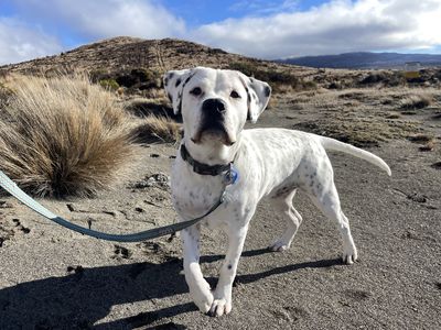 Toby’s story: A connection that goes beyond sound