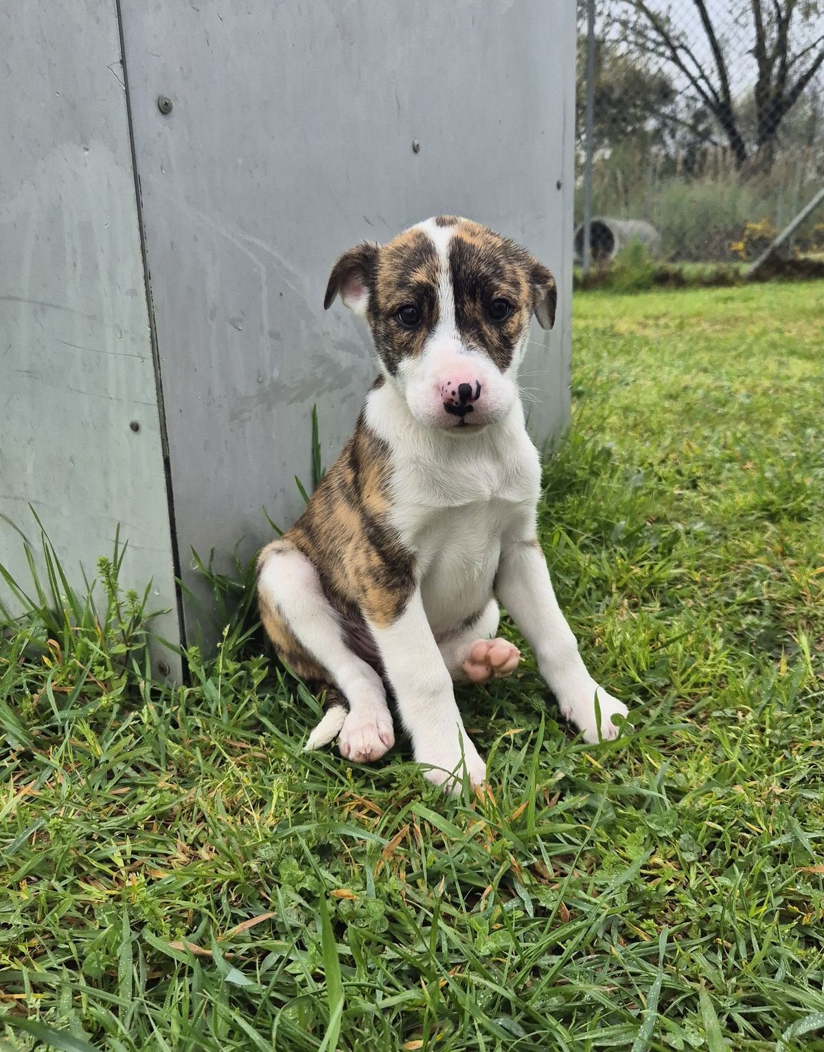 Gallery image: Dutchess