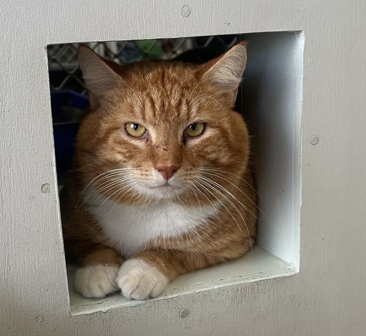 Gallery image: Rupert