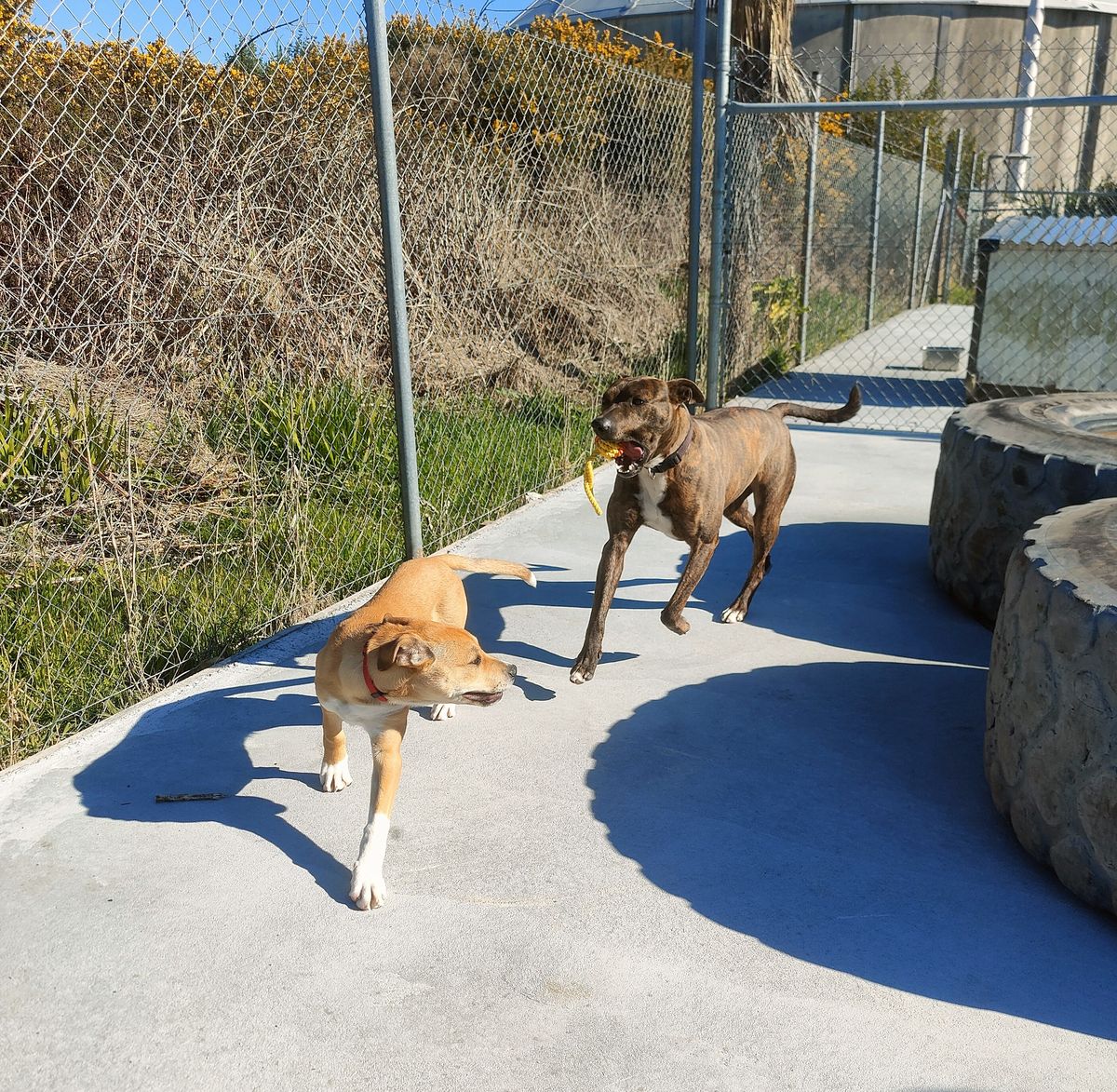 Gallery image: Arthur 