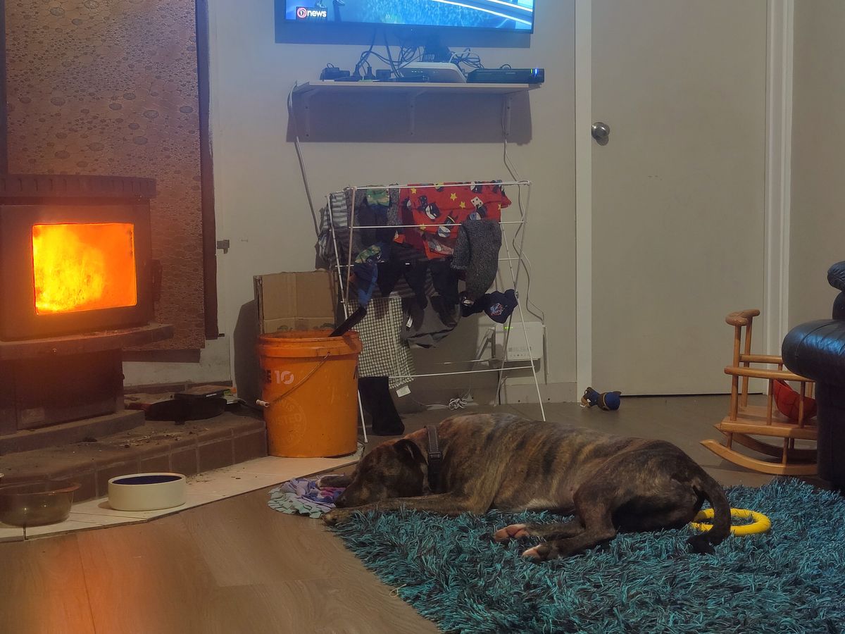 Gallery image: Arthur 