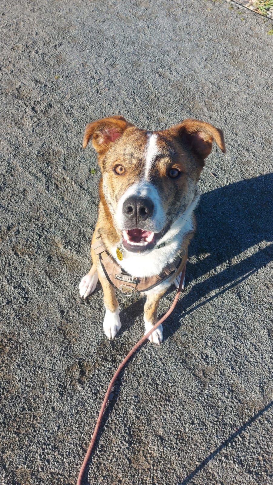 Gallery image: Rumble