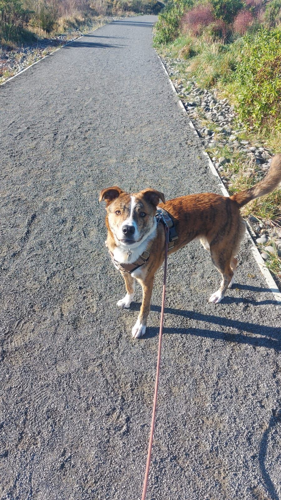 Gallery image: Rumble