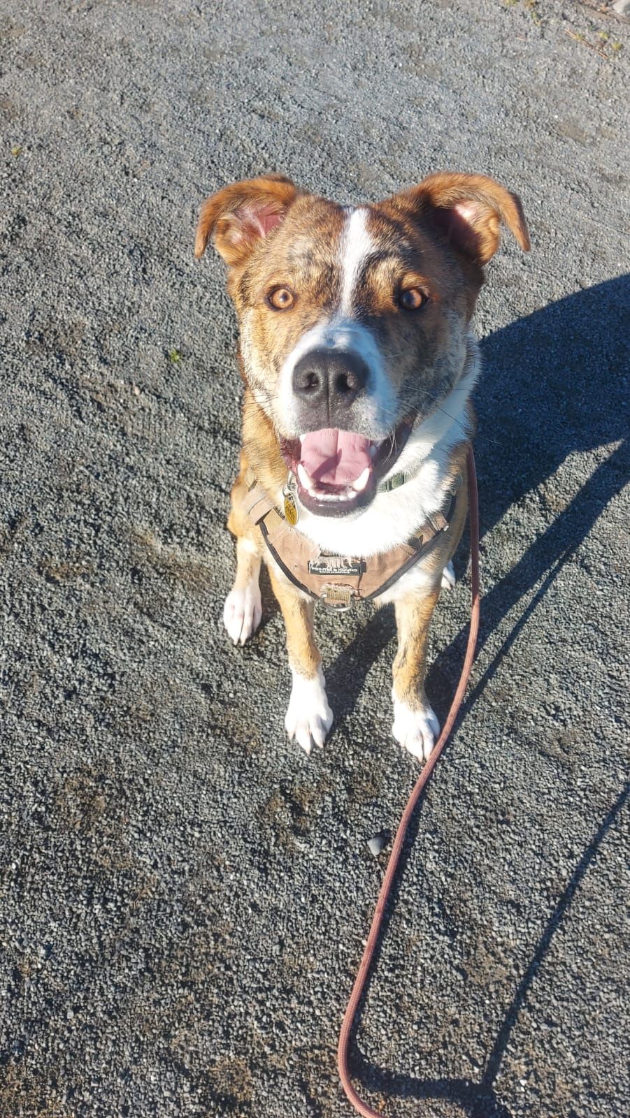 Gallery image: Rumble