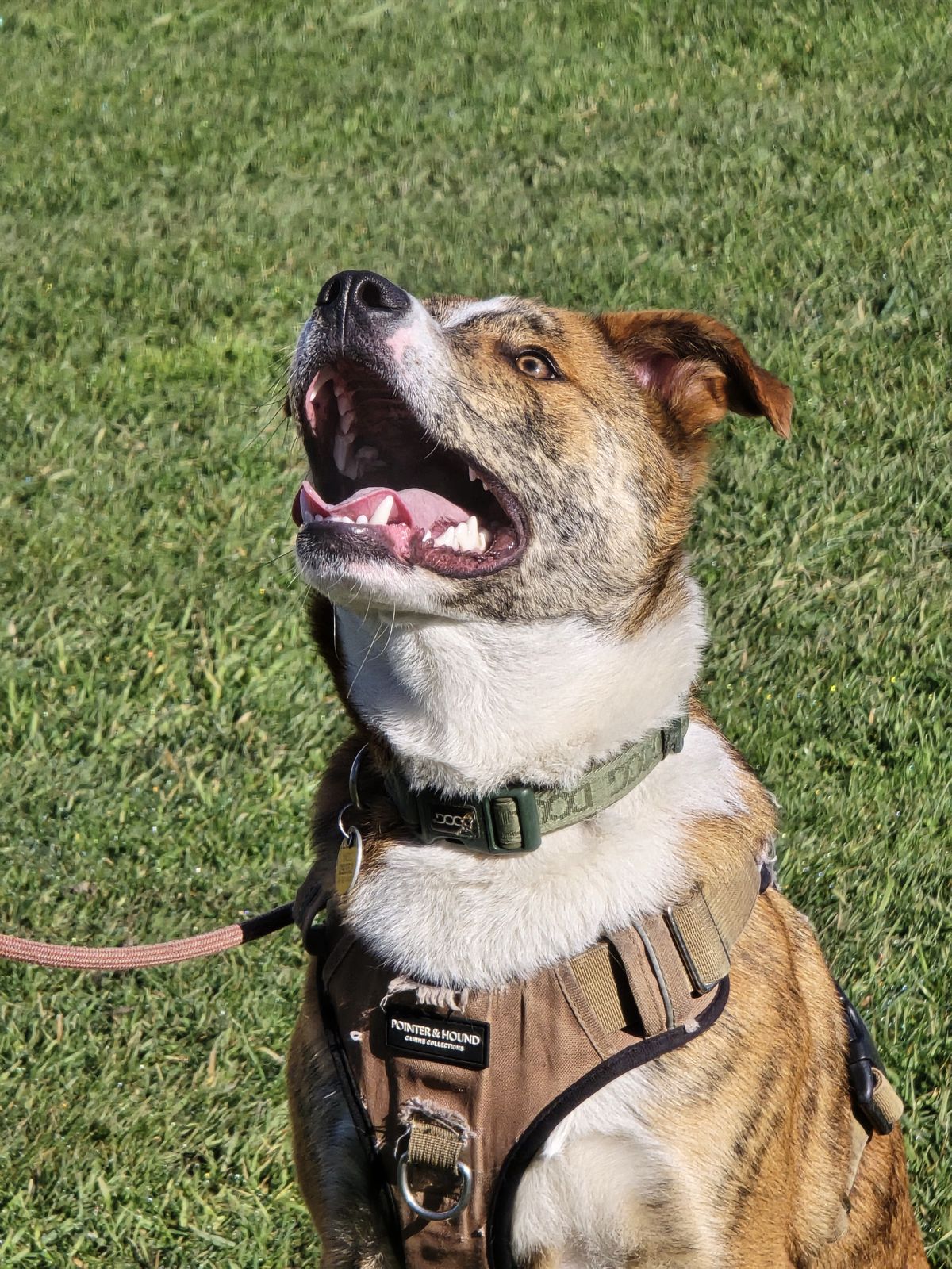 Gallery image: Rumble