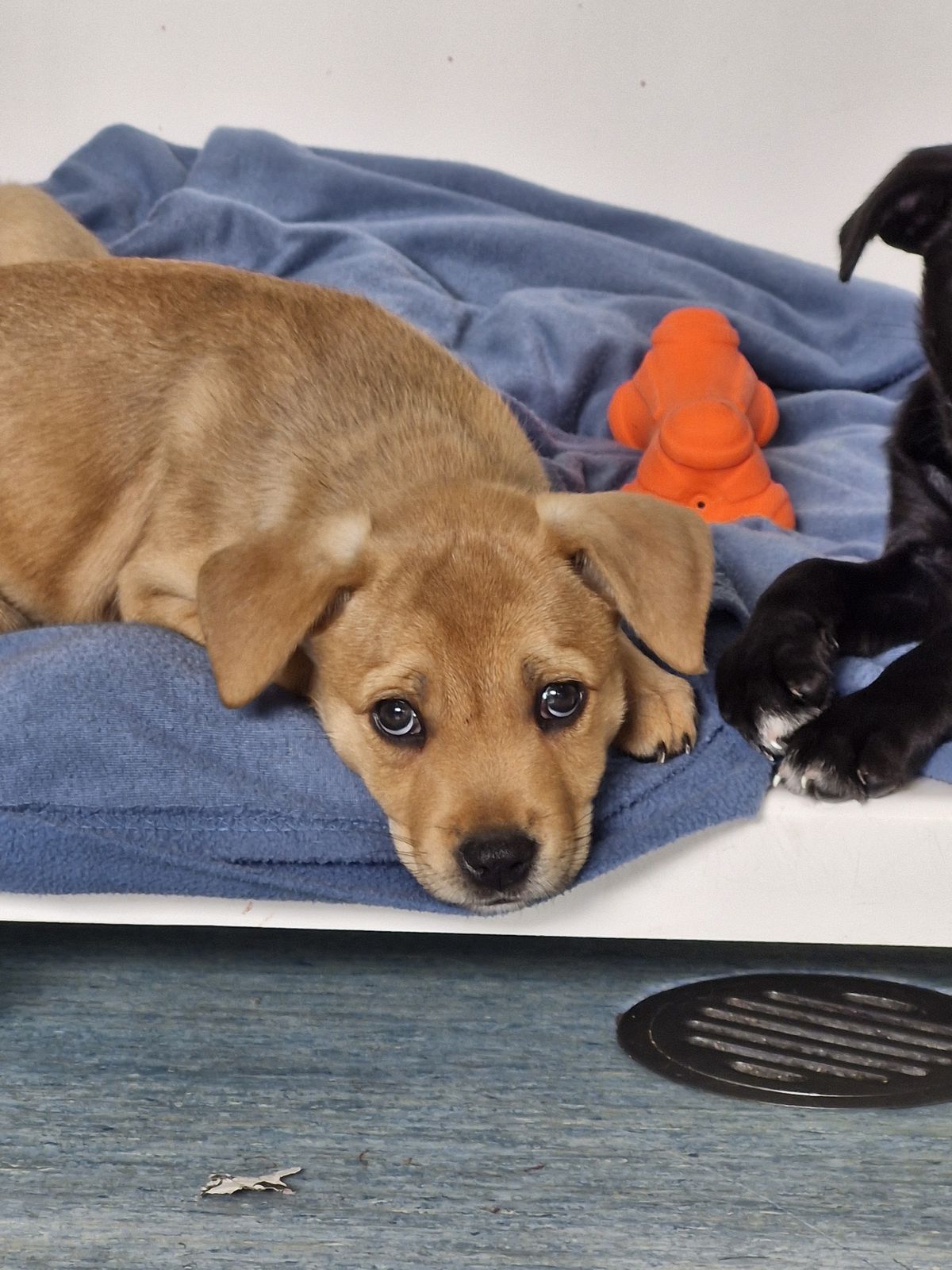 Gallery image: Eleven