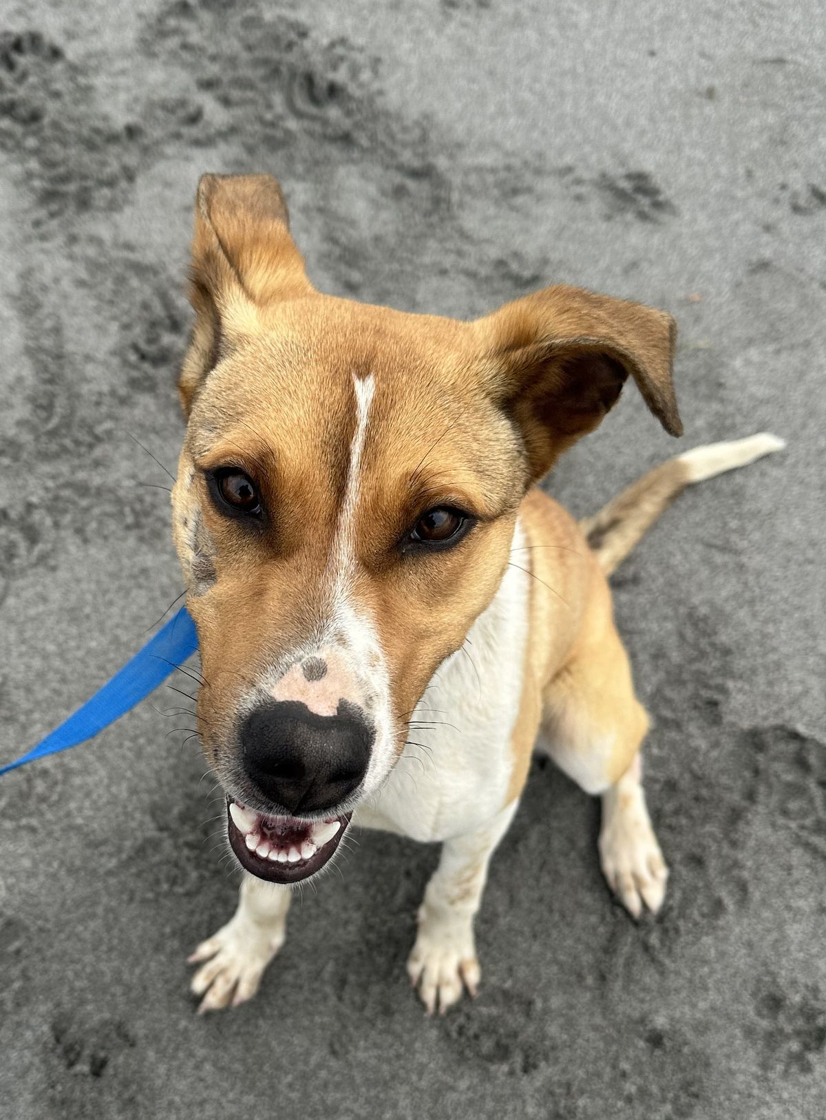 Gallery image: Johnny