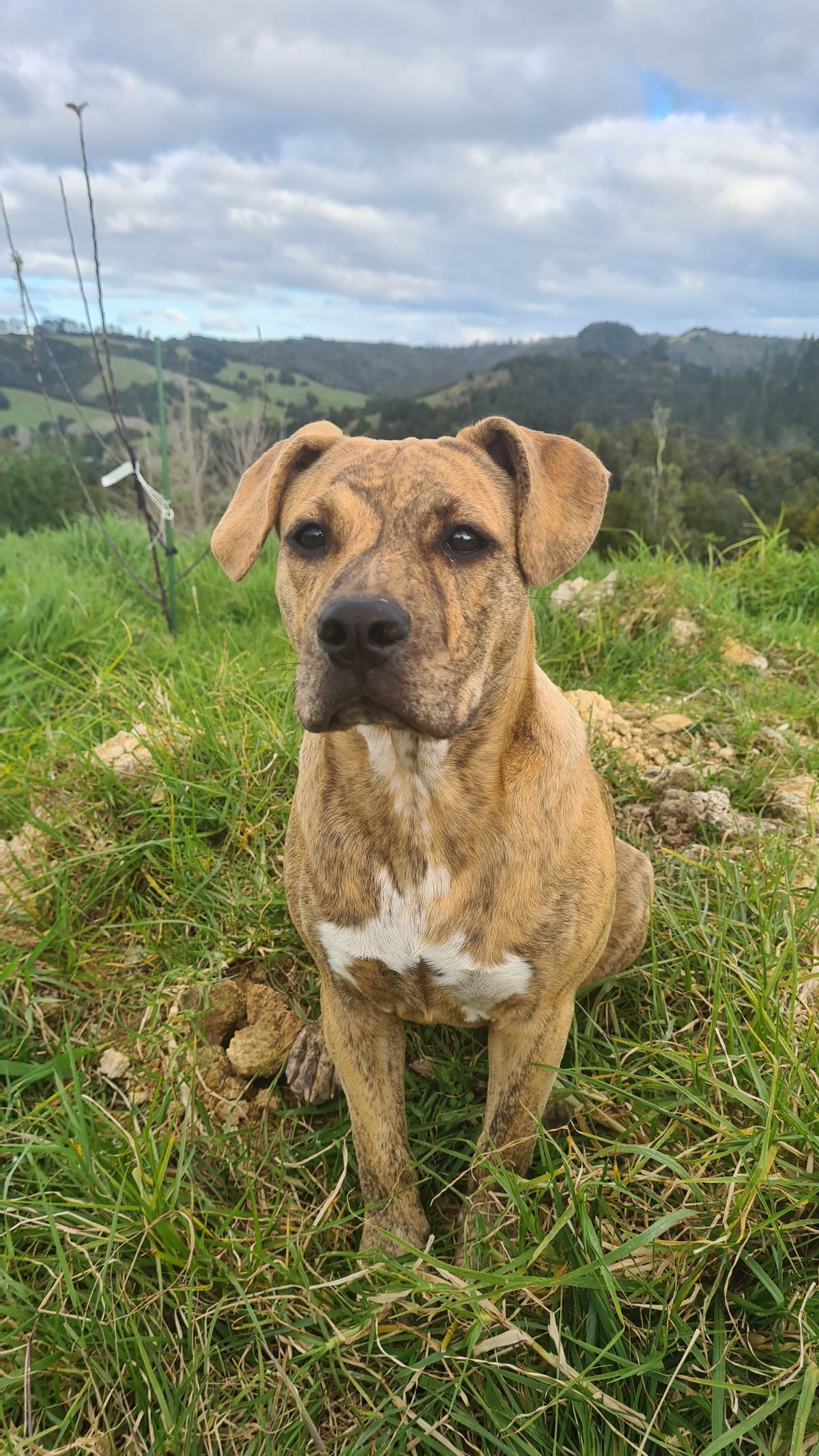 Gallery image: Honey