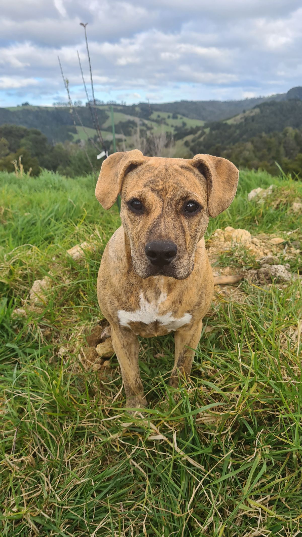 Gallery image: Honey