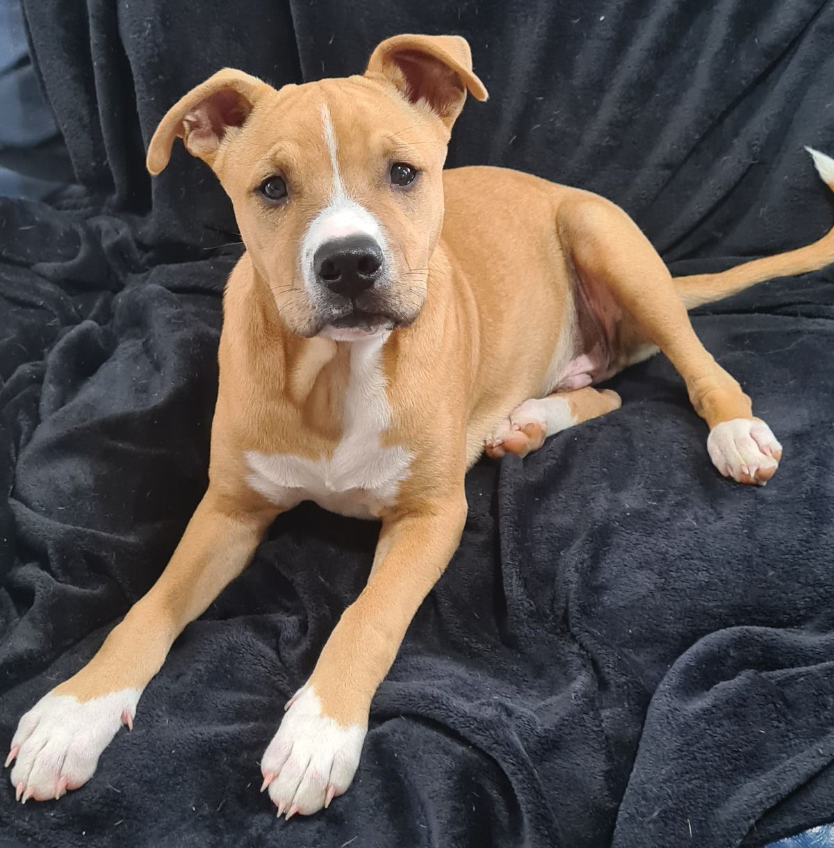 Gallery image: Harry