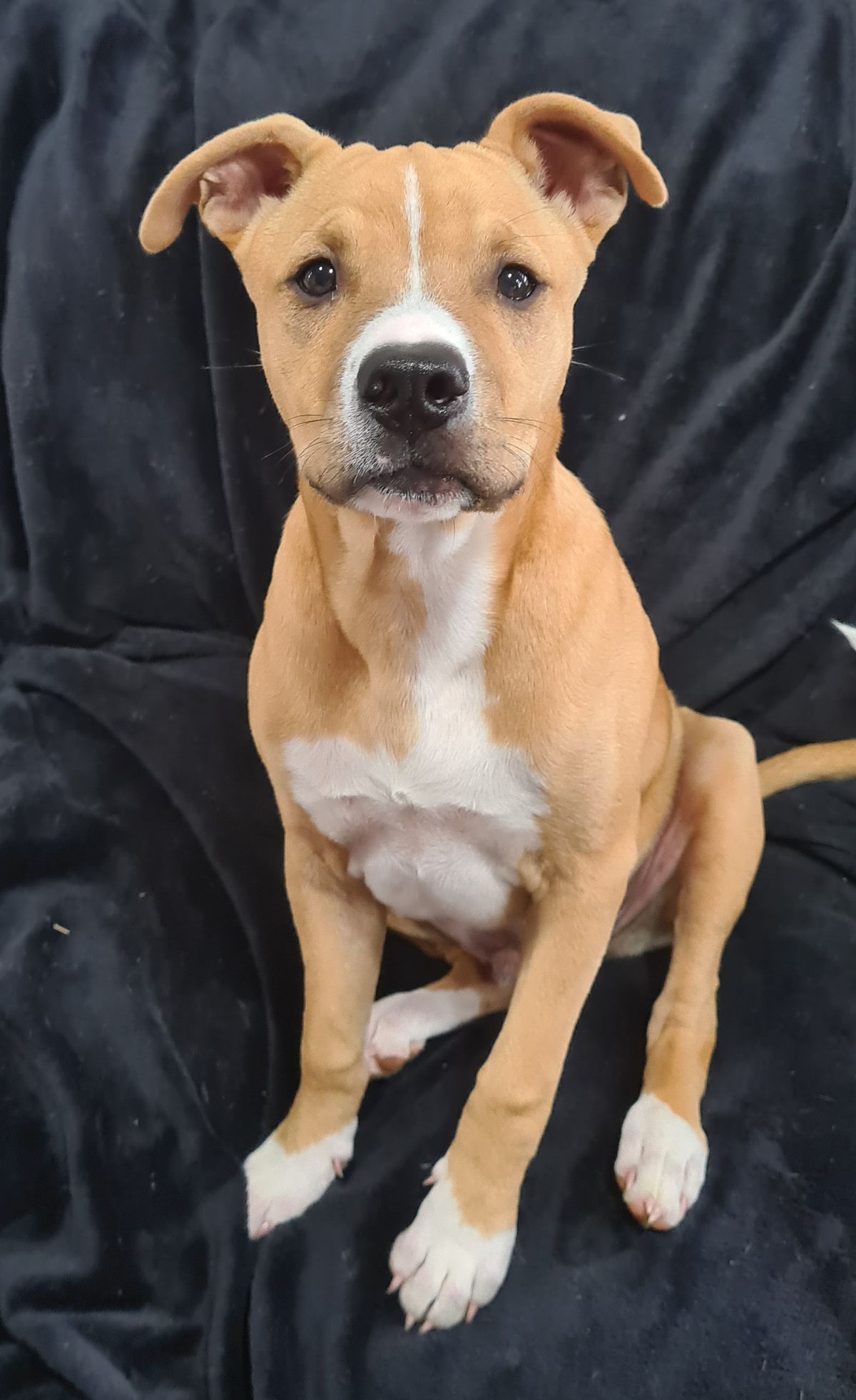 Gallery image: Harry