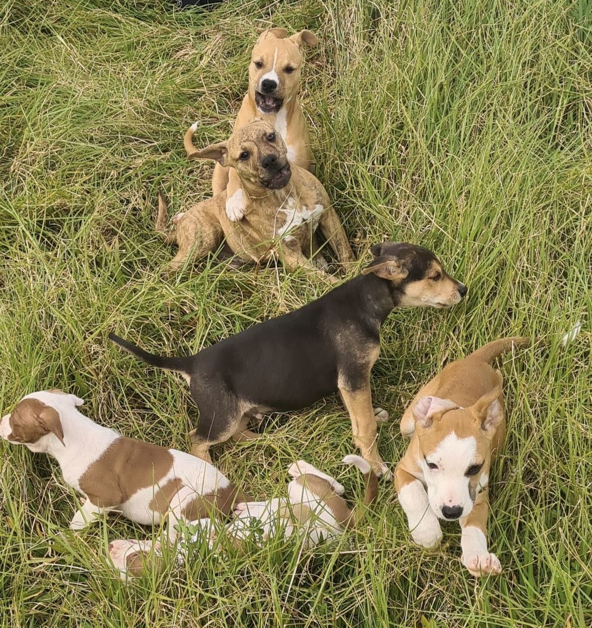 Gallery image: Honey