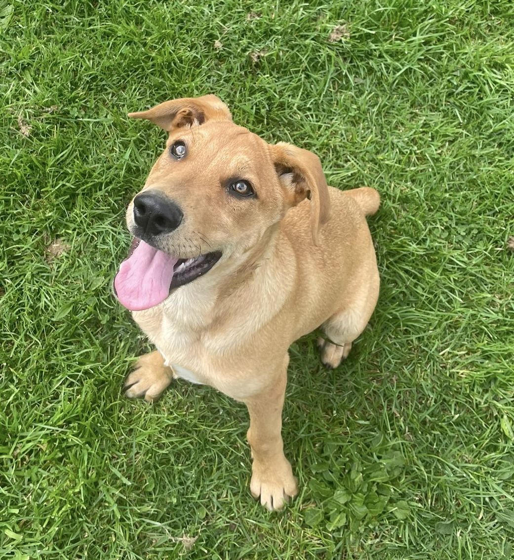 Gallery image: Pretzel