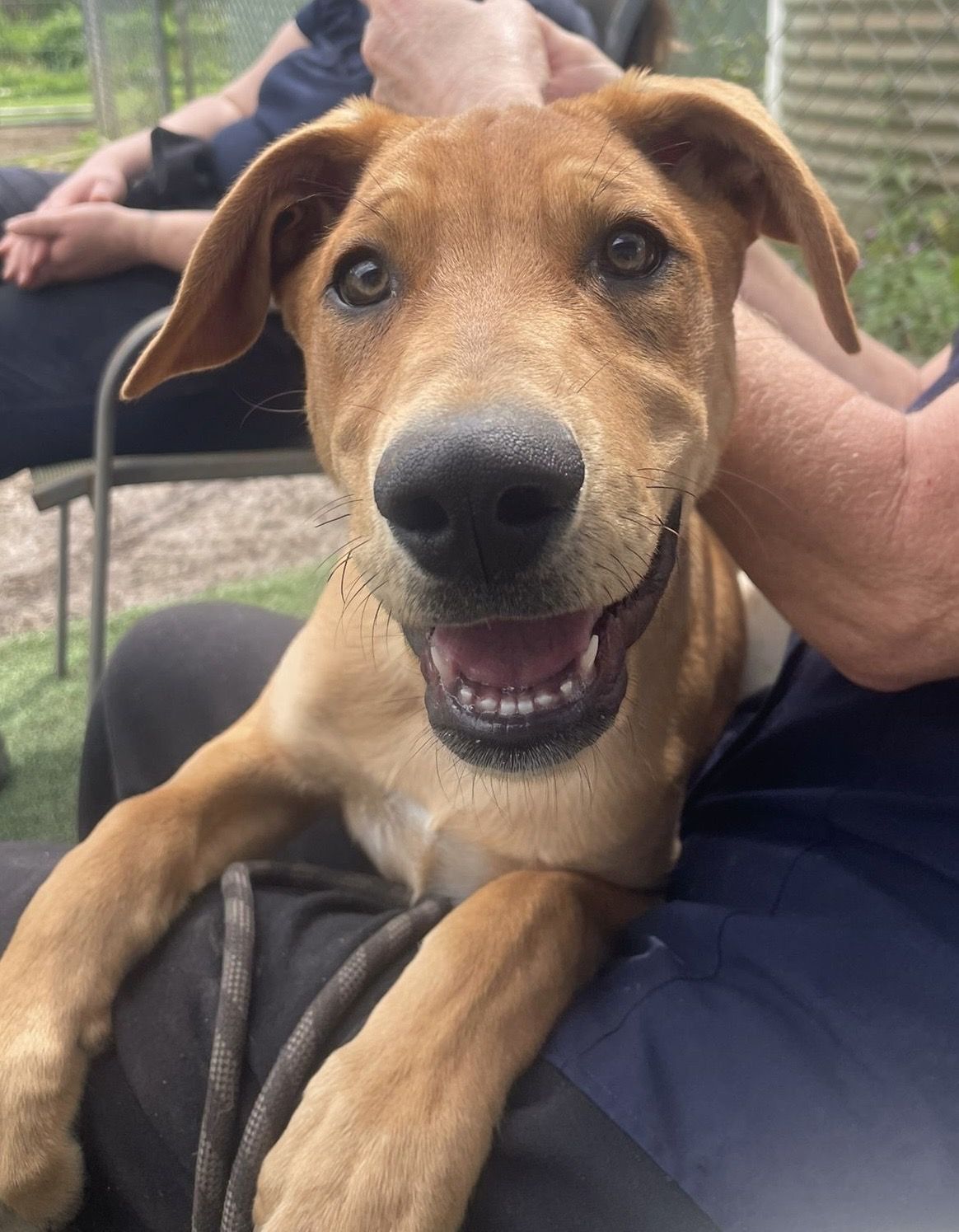 Gallery image: Pretzel