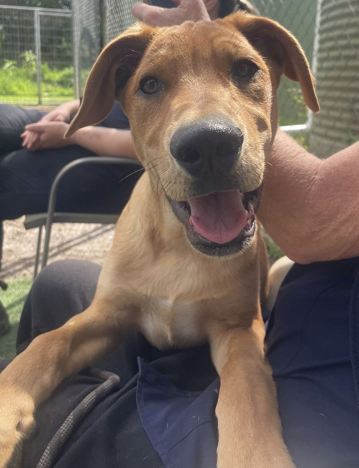 Gallery image: Pretzel