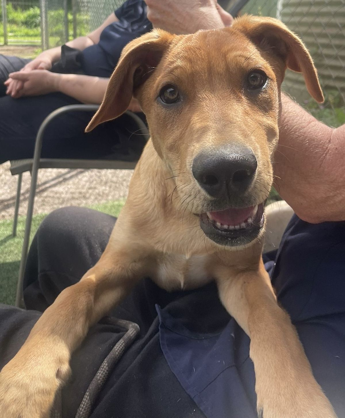 Gallery image: Pretzel