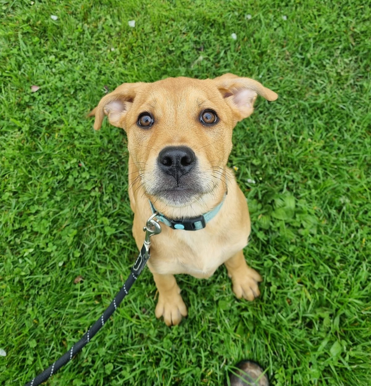 Gallery image: Eleven