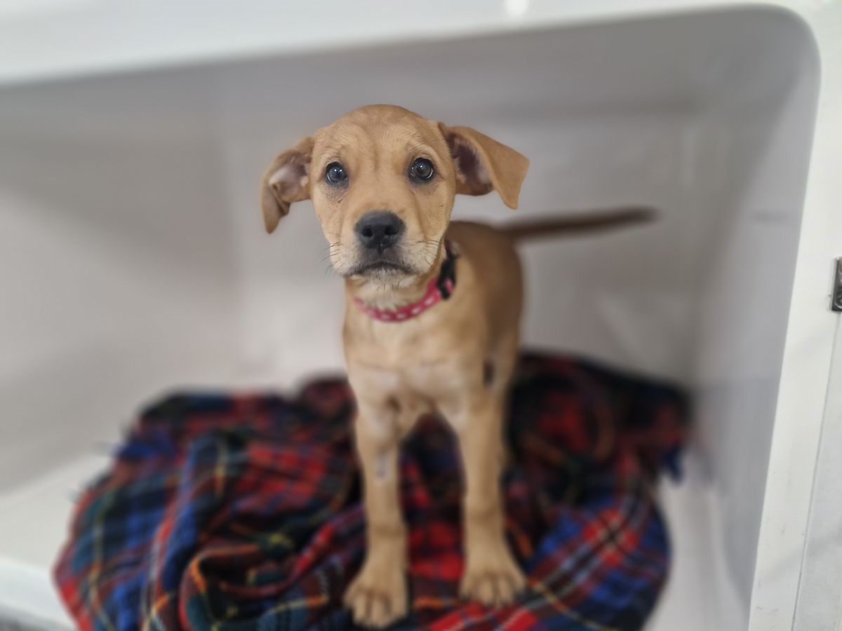 Gallery image: Eleven