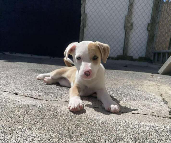 Gallery image: Greta