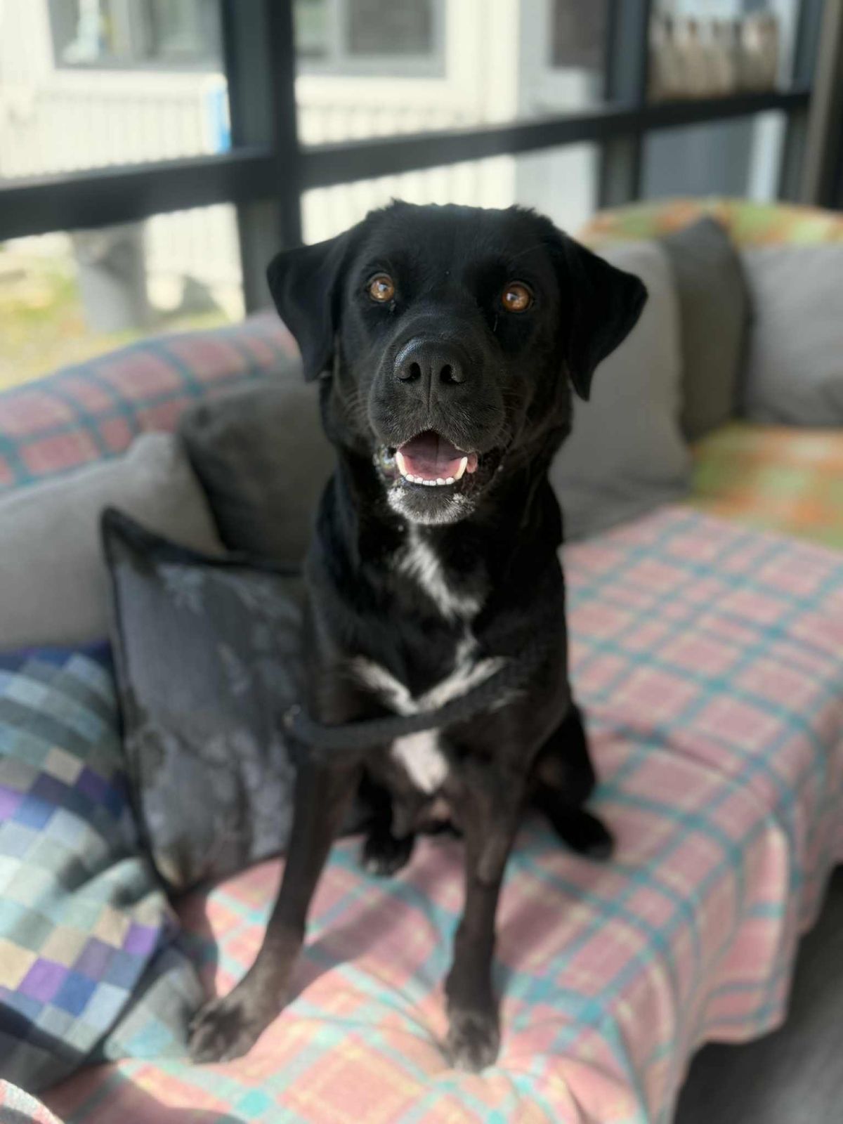 Gallery image: Jewels