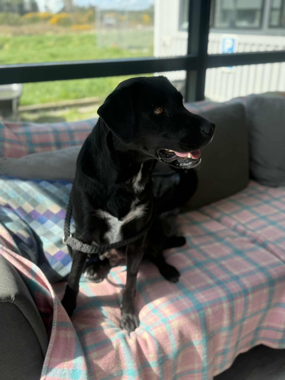 Gallery image: Jewels