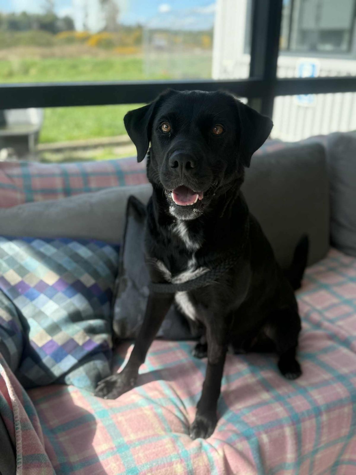 Gallery image: Jewels