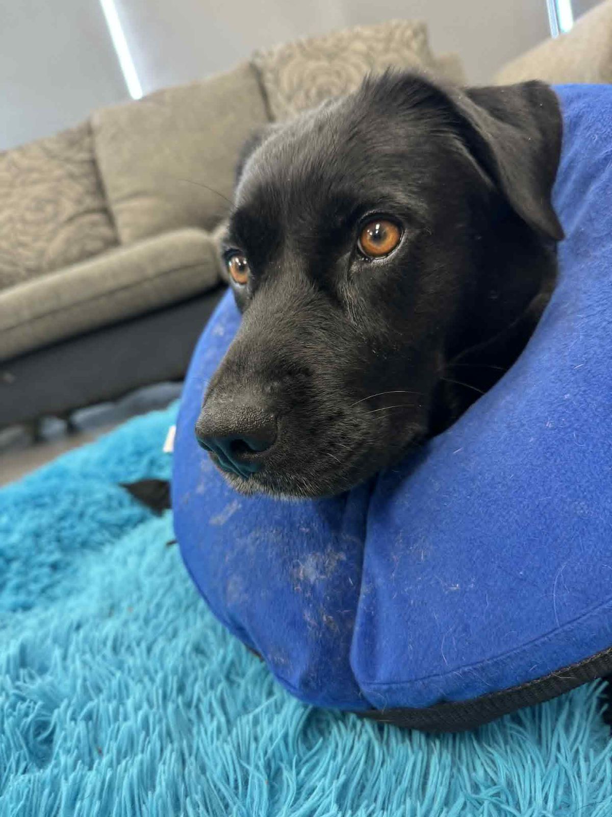 Gallery image: Jewels